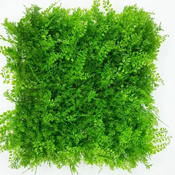 دیوار سبز مصنوعی مدل شمشاد | گرینوال شمشاد 50 در 50